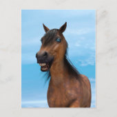 Happy Horse Postkarte (Vorderseite)