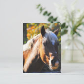 Happy Horse Postkarte (Stehend Vorderseite)