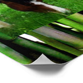 HAPPY HORSES POSTER (Ecke)