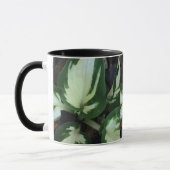 Happy Hosta Combo Tasse (Links)