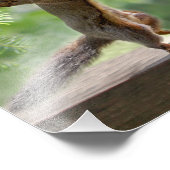 Happy Hour Squirrels Fotodruck (Ecke)