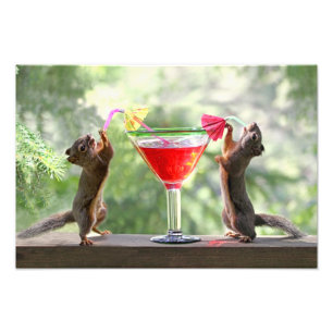 Happy Hour Squirrels Fotodruck