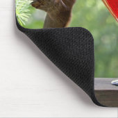 Happy Hour Squirrels Mousepad (Ecke)