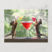 Happy Hour Squirrels Postkarte (Vorderseite)