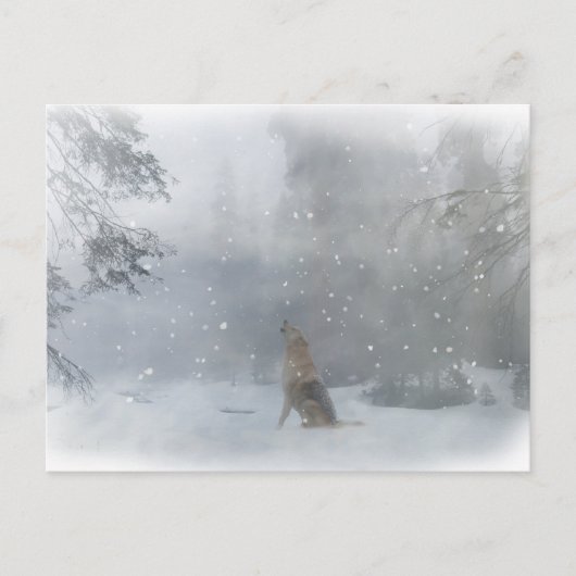 Happy "Howl" idays Wolf im Schneeballpostkarten Postkarte (Vorderseite)