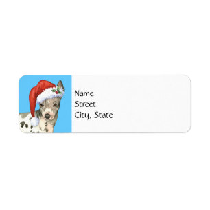 Happy Howlidays American Hairless Terrier