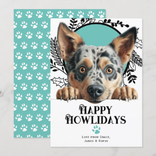 Happy Howlidays Australian Cattle Dog Weihnachten