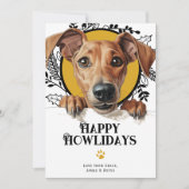 Happy Howlidays Azawakh Dog Weihnachten (Vorderseite)