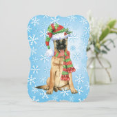 Happy Howlidays Belgium Malinois Feiertagskarte (Stehend Vorderseite)