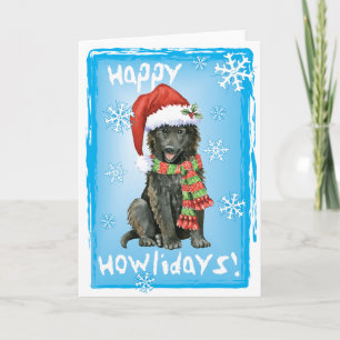 Happy Howlidays Belgium Sheepdog Feiertagskarte