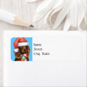 Happy Howlidays Boykin Spaniel (Insitu)