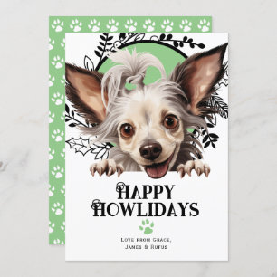 Happy Howlidays Chinese Crested Hund Weihnachten