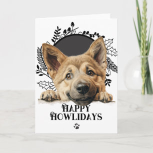 Happy Howlidays Chinook Dog Weihnachten