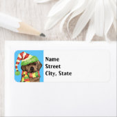 Happy Howlidays Chocolate Labrador (Insitu)