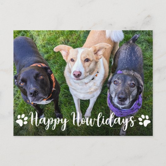 Happy Howlidays Dog Foto Weihnachten (Vorderseite)