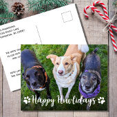 Happy Howlidays Dog Foto Weihnachten
