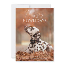 Happy Howlidays Dog Foto Weihnachten