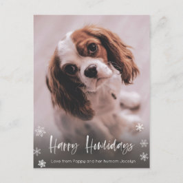 Happy Howlidays Dog Walker Weihnachten Postkarte