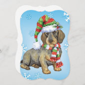 Happy Howlidays Drahthaar Dackel Feiertagskarte (Vorne/Hinten)