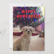 Happy Howlidays