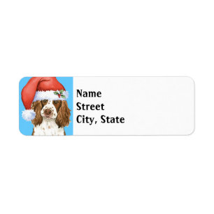 Happy Howlidays English Springer Spanier