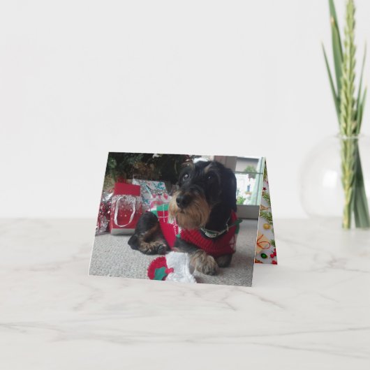 Happy Howlidays Feiertagskarte (Vorderseite)