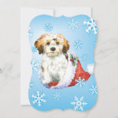 Happy Howlidays Havanese Feiertagskarte (Vorderseite)
