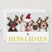 Happy Howlidays Hund Weihnachten 5 Foto-Karte Einladung (Vorderseite)