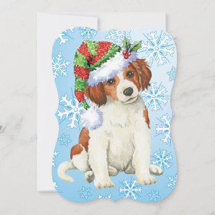 Happy Howlidays Kooikerhondje Feiertagskarte