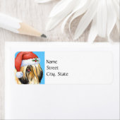 Happy Howlidays Lhasa Apso (Insitu)