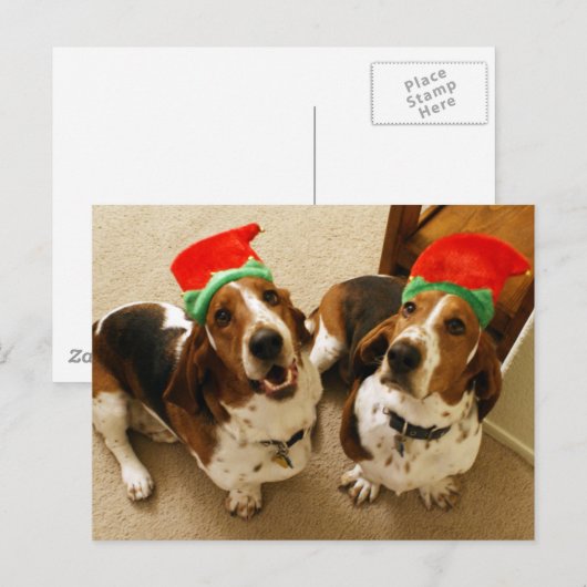 Happy Howlidays Postkarte (Vorne/Hinten)