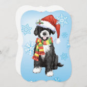 Happy Howlidays PWD Feiertagskarte (Vorne/Hinten)