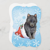 Happy Howlidays Schipperke Feiertagskarte (Vorne/Hinten)