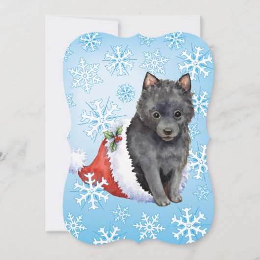 Happy Howlidays Schipperke Feiertagskarte (Vorderseite)