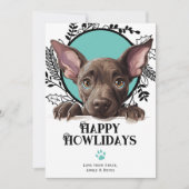 Happy Howlidays Xoloitzcuintli Dog Christmas Feiertagskarte (Vorderseite)