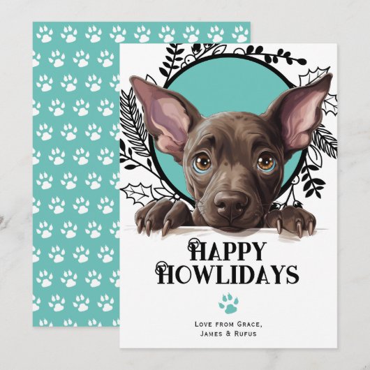 Happy Howlidays Xoloitzcuintli Weihnachten (Vorne/Hinten)