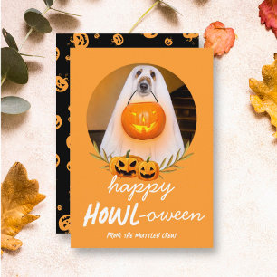 Happy Howloween   Halloween Pet Foto Feiertagskarte