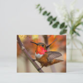 Happy Hummingbird mit Flügeln Postkarte (Stehend Vorderseite)