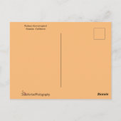 Happy Hummingbird mit Flügeln Postkarte (Rückseite)