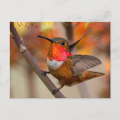 Happy Hummingbird mit Flügeln Postkarte (Vorderseite)