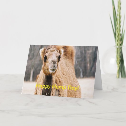 Happy Hump Day Karte (Vorderseite)