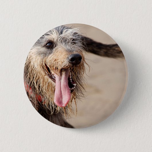 Happy Hund am Strand Button (Vorderseite)