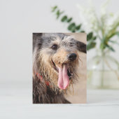 Happy Hund am Strand Postkarte (Stehend Vorderseite)