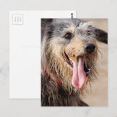 Happy Hund am Strand Postkarte (Vorne/Hinten)