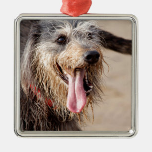 Happy Hund am Strand Silbernes Ornament