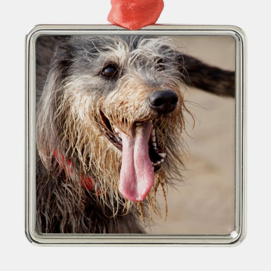 Happy Hund am Strand Silbernes Ornament (Vorne)