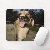 Happy Hund, der im Freien herumläuft Mousepad (Mit Mouse)