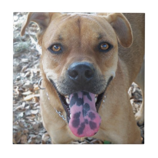 Happy Hund gepunktet Zunge Fliese (Vorderseite)