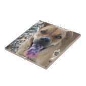 Happy Hund gepunktet Zunge Fliese (Seite)