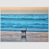 Happy Hund und Reflektion am Strand bei Sunset Seidenpapier (Vorderseite)
